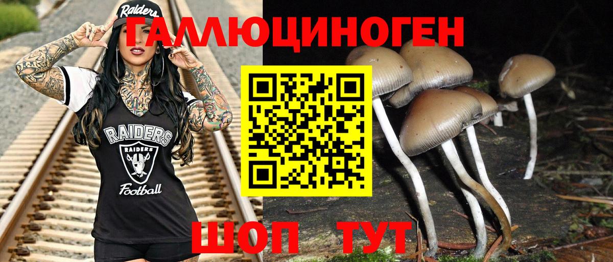 где найти   Псилоцибиновые грибы GOLDEN TEACHER  Арзамас  Вход с VPN  Псилоцибиновые грибы ЛСД 